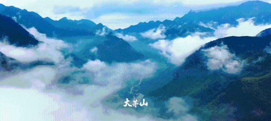 摄影，要么喜新厌旧，要么死