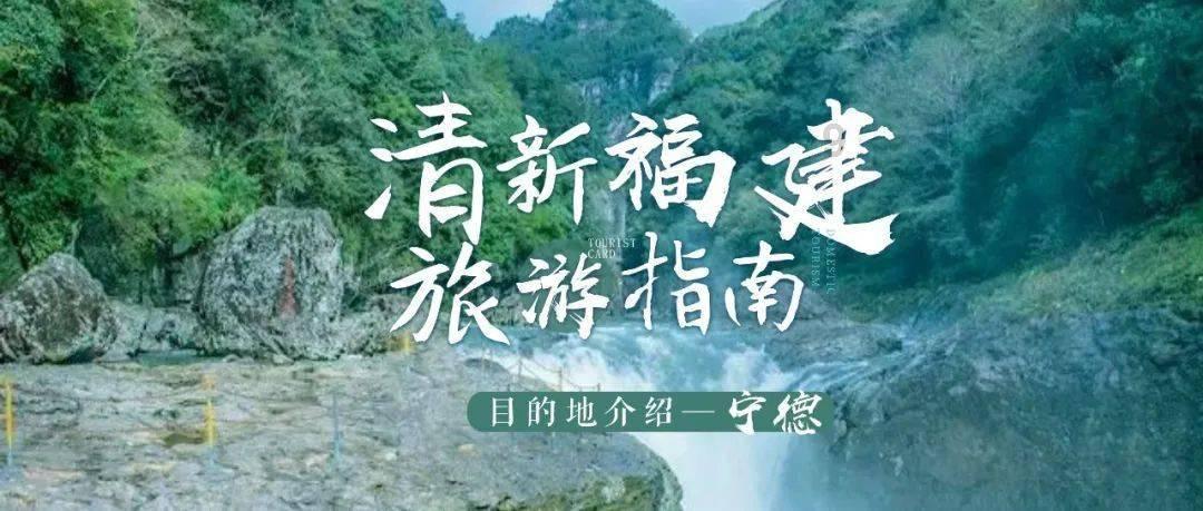 勿忘我