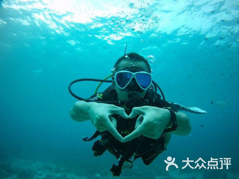 《虫儿飞》歌词是什么？游戏画面