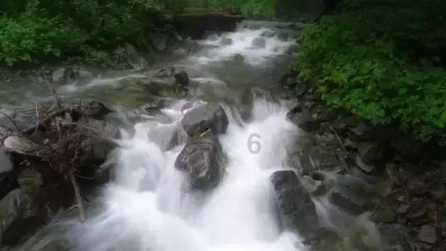 香菇和它是“绝配”，低卡爽口，通便排毒，瘦身要常吃！